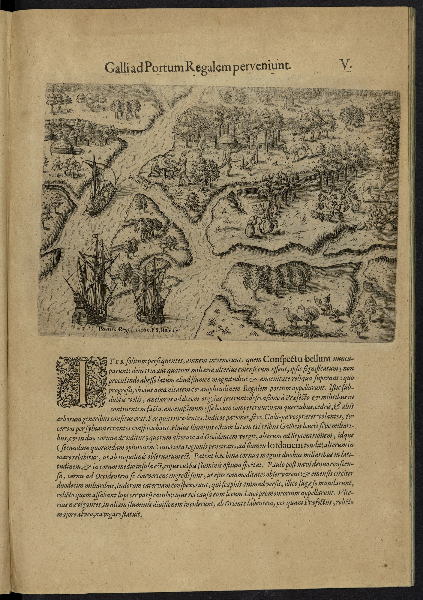 THEODORE DE BRY LES GRANDS VOYAGES (1590-1634), LIVRE II, 1591